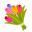 الورود و النباتات