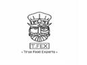 T.FEX logo image