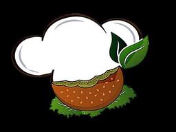 Asl Falafel janan