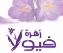 ازهار فيولا logo image