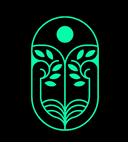 سولتري logo image