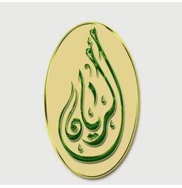 الريان logo image