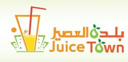 بلدة العصير  logo image