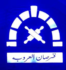 قرصان العروبه logo image