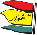 بيتزا وفطائر تلال غوار logo image