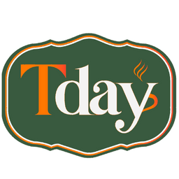 تي داي logo image