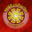 قصر الركن الشامي logo image