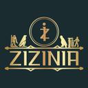 زيزينيا logo image